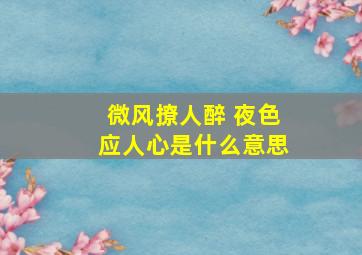 微风撩人醉 夜色应人心是什么意思